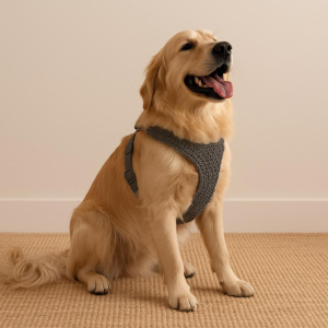 Harnais en crochet